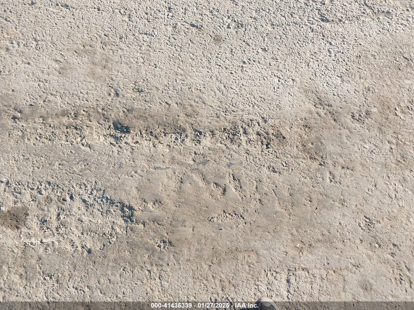 2003 Honda Element Ex VIN: 5J6YH18513L011491 Lot: 41436339