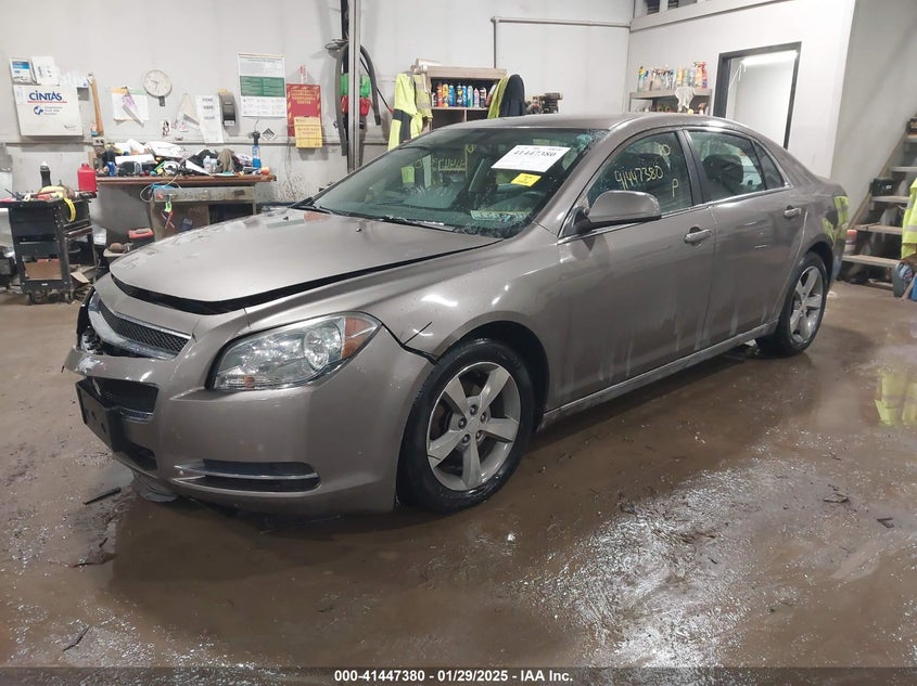 2011 CHEVROLET MALIBU VIN: 1G1ZC5E15BF145363