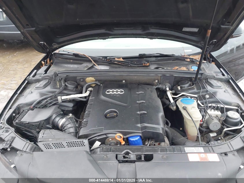 2009 Audi A4 2.0T Premium VIN: WAULF78KX9N014396 Lot: 41448814