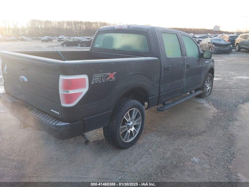 2014 FORD F-150 VIN: 1FTFW1EF2EKD90252