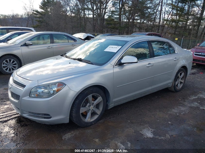 2011 CHEVROLET MALIBU VIN: 1G1ZC5E10BF126302