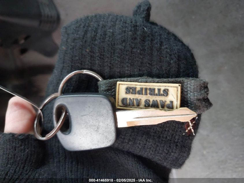 2001 Ford F-150 Lariat/Xl/Xlt VIN: 1FTRX17W81KF21539 Lot: 41465918