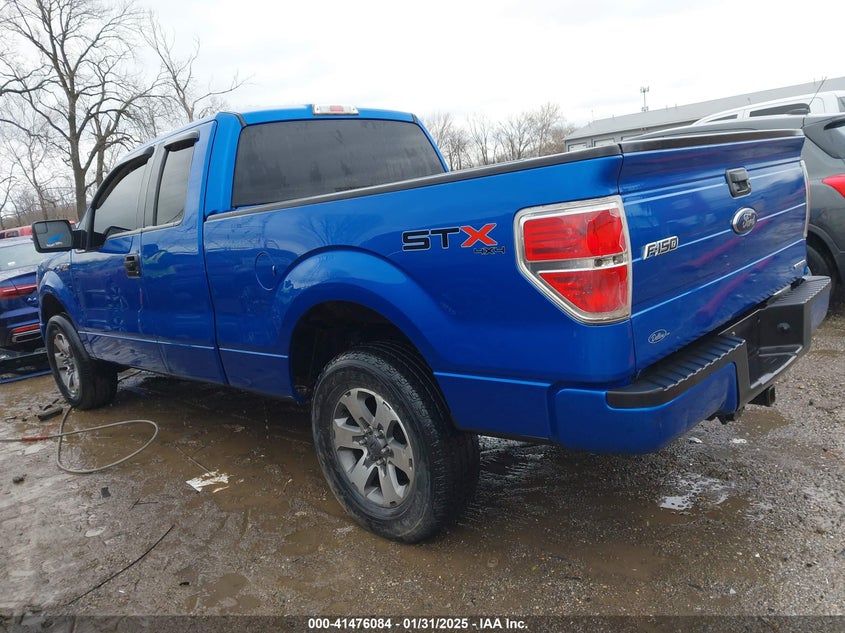 2013 FORD F-150 VIN: 1FTFX1EF8DKF92413
