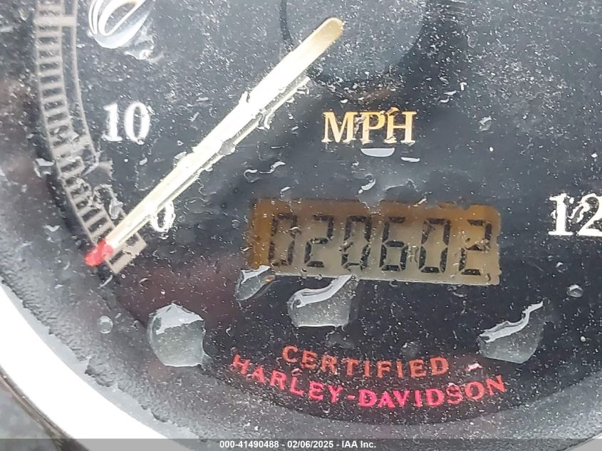 2002 Harley Davidson Fxdl VIN: 1HD1GDV1325754 Lot: 41490488