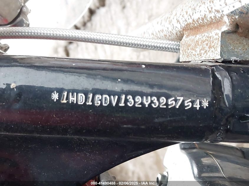 2002 Harley Davidson Fxdl VIN: 1HD1GDV1325754 Lot: 41490488