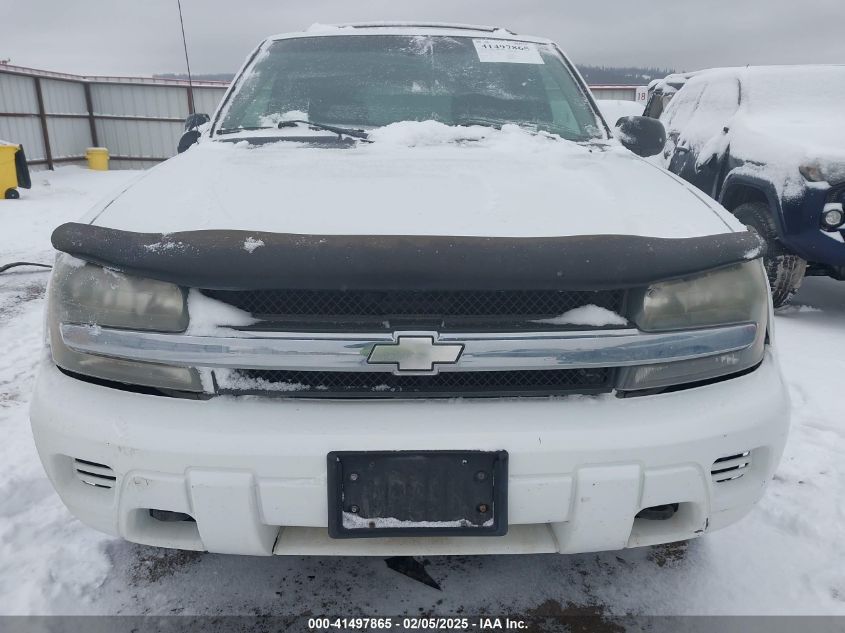 2004 Chevrolet Trailblazer Ls/Lt VIN: 1GNDT13S242218397 Lot: 41497865