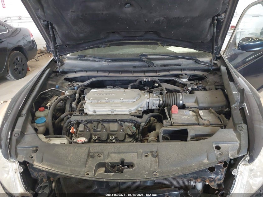 2010 HONDA ACCORD VIN: 5KBCP3F81AB012024