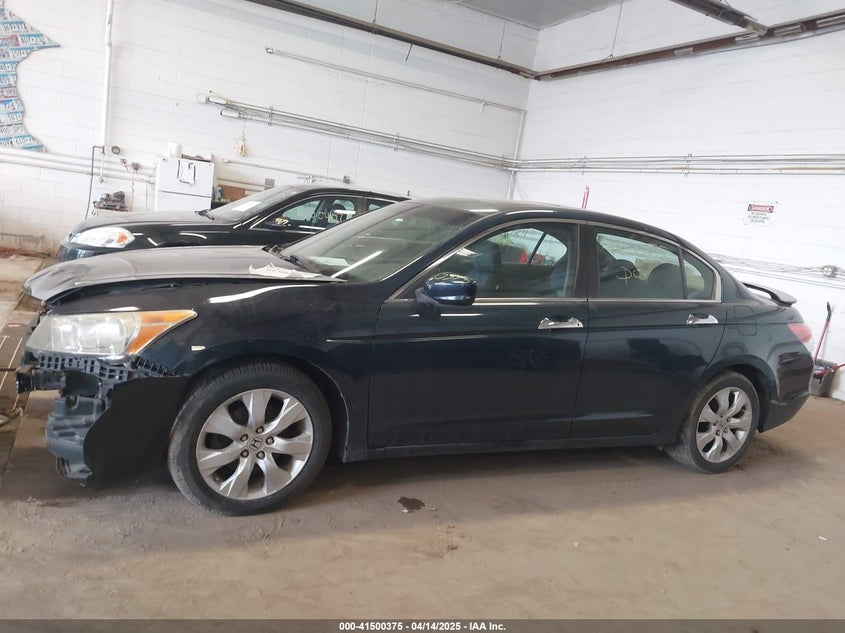 2010 HONDA ACCORD VIN: 5KBCP3F81AB012024