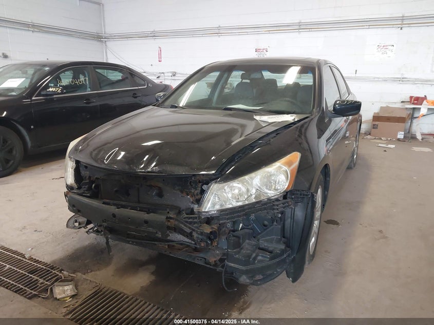 2010 HONDA ACCORD VIN: 5KBCP3F81AB012024