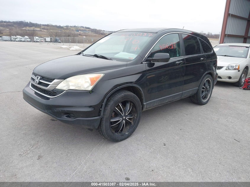 2010 HONDA CR-V VIN: 5J6RE4H77AL054116