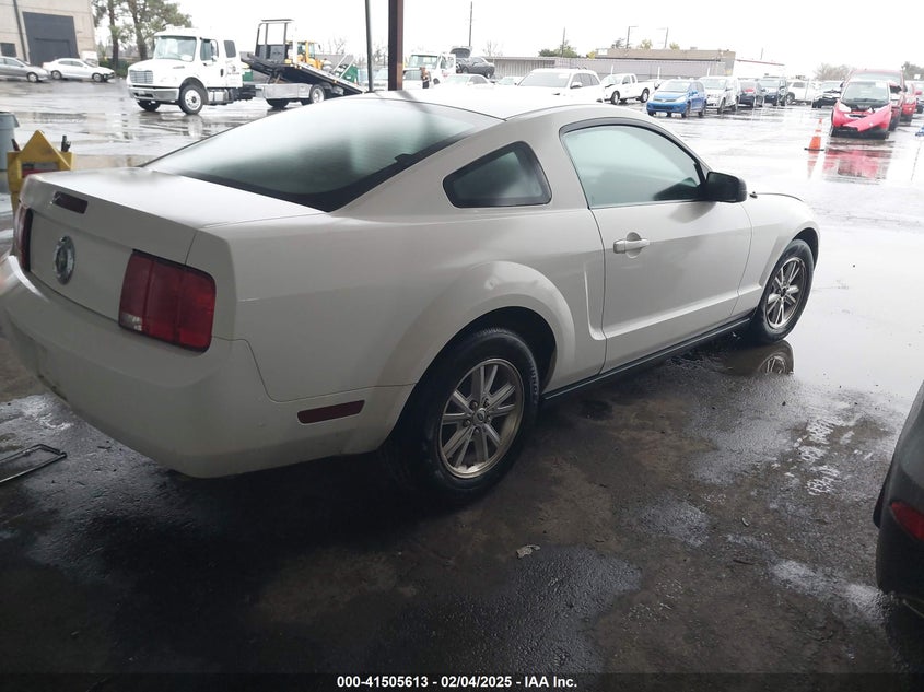 2006 FORD MUSTANG VIN: 1ZVFT80N065119347