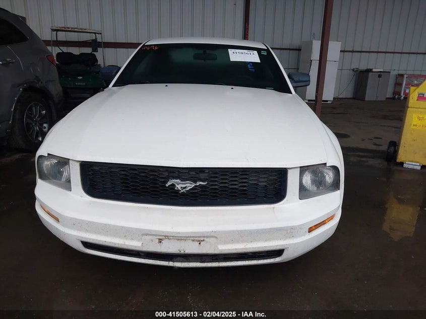 2006 FORD MUSTANG VIN: 1ZVFT80N065119347