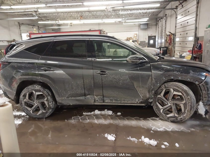2024 HYUNDAI TUCSON LIMITED - 5NMJECDEXRH363142