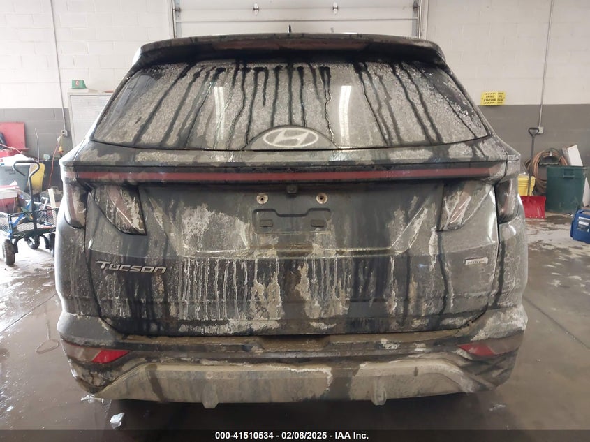 2024 HYUNDAI TUCSON LIMITED - 5NMJECDEXRH363142