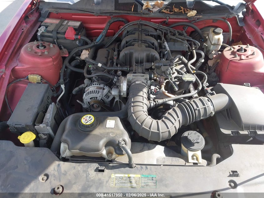 2010 FORD MUSTANG VIN: 1ZVBP8EN0A5113245