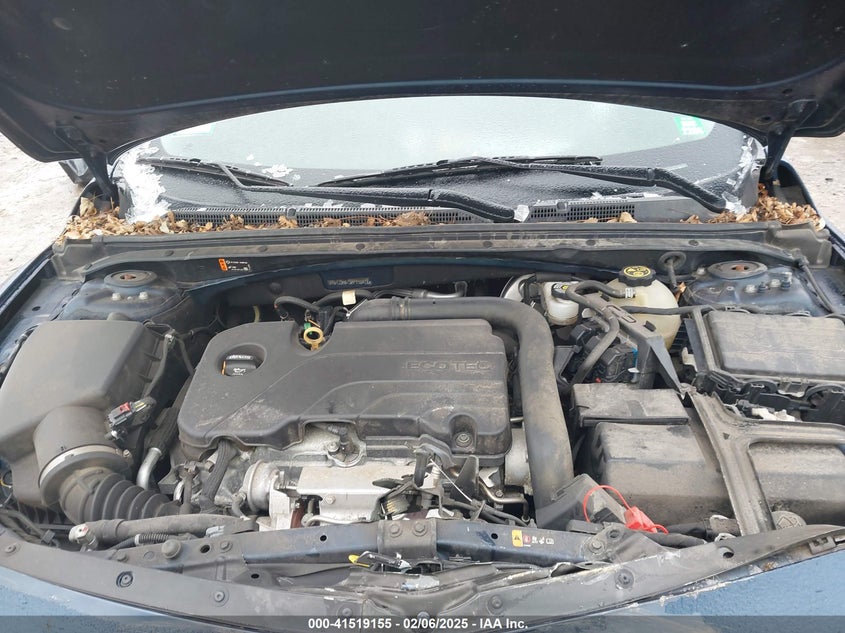 2019 CHEVROLET MALIBU VIN: 1G1ZD5ST3KF116978