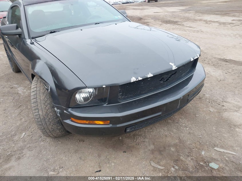 2007 FORD MUSTANG VIN: 1ZVFT80N775324553