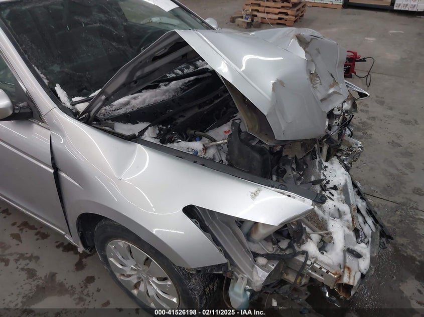 2010 HONDA ACCORD VIN: 1HGCP2F34AA149773