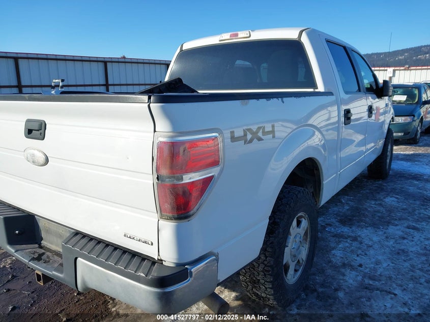 2011 FORD F-150 VIN: 1FTFW1EF0BKD79746