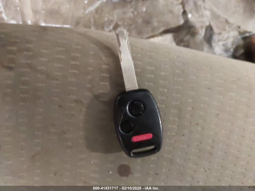 2007 Honda Cr-V Ex VIN: JHLRE48577C071725 Lot: 41531717