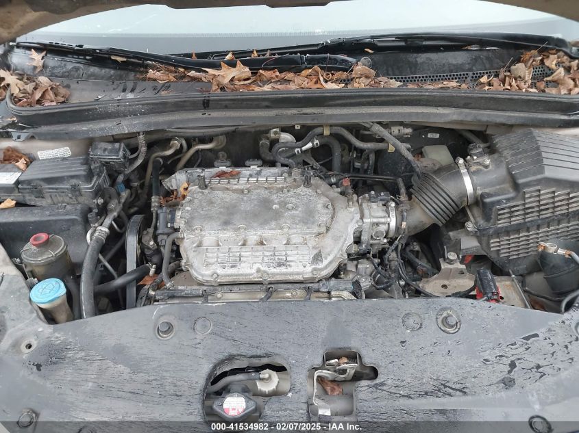 2007 Honda Odyssey Ex-L VIN: 5FNRL38797B418974 Lot: 41534982