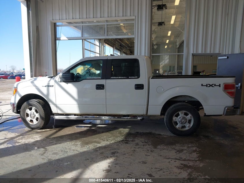 2010 FORD F-150 VIN: 1FTEW1E83AFC09949
