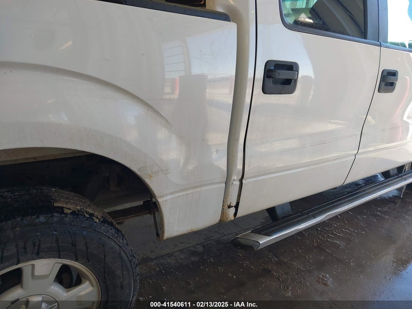 2010 FORD F-150 VIN: 1FTEW1E83AFC09949
