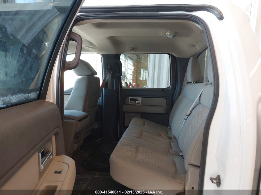 2010 FORD F-150 VIN: 1FTEW1E83AFC09949