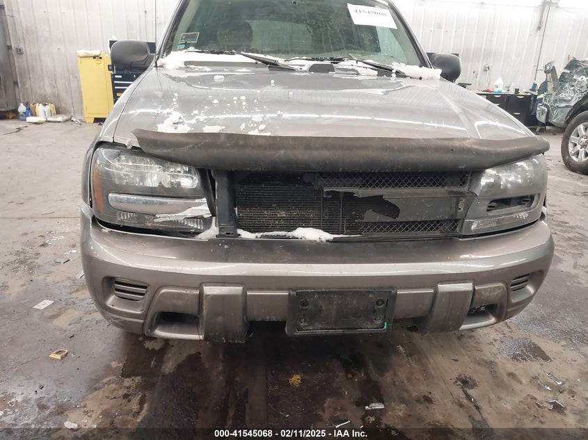 2006 CHEVROLET TRAILBLAZER VIN: 1GNDT13S562139458