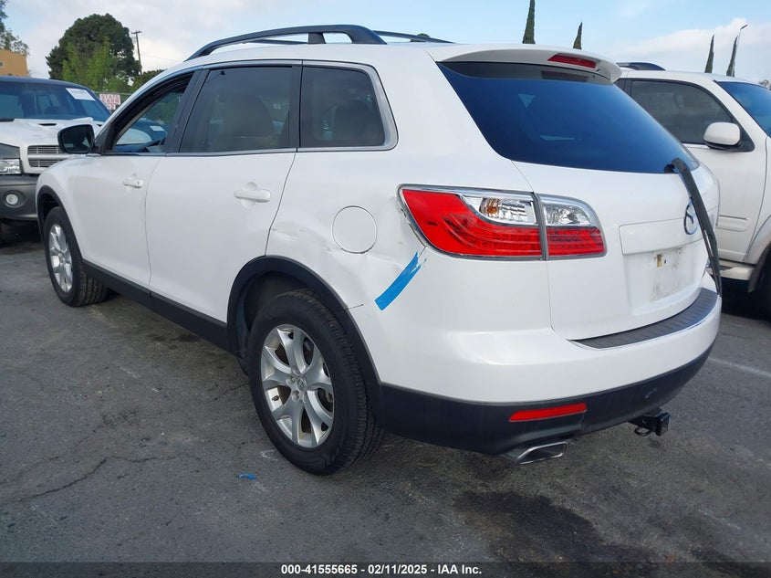 2011 MAZDA CX-9 VIN: JM3TB2CV4B0306719