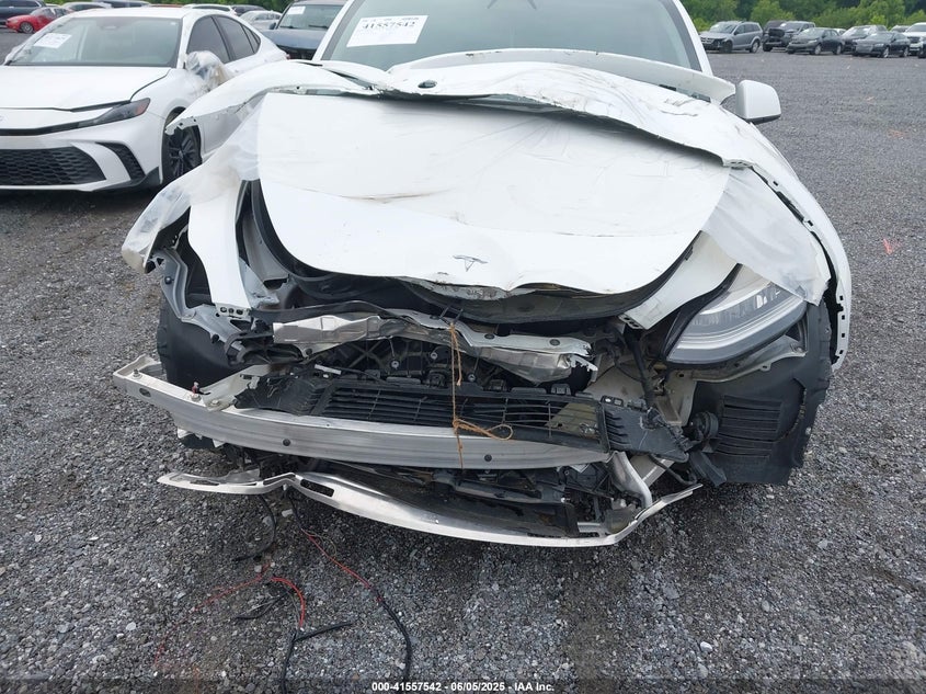 2023 Tesla Model Y Awd/Long Range Dual Motor All-Wheel Drive VIN: 7SAYGDEE7PF596216 Lot: 41557542