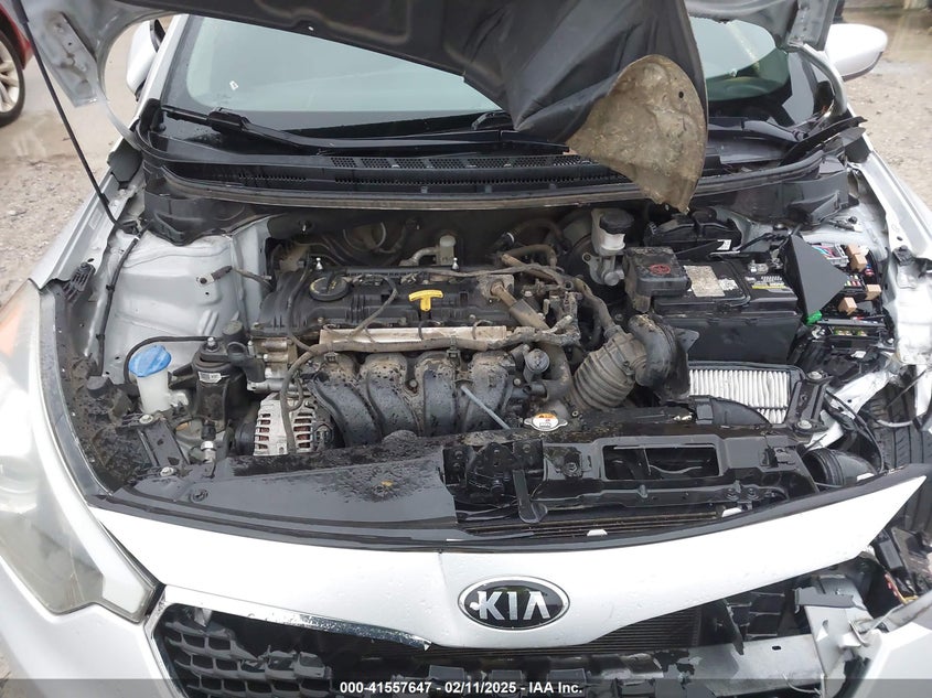 2014 KIA FORTE VIN: KNAFK4A62E5251978