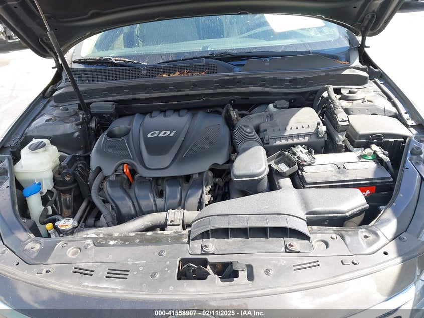 2011 KIA OPTIMA VIN: KNAGN4A74B5164311