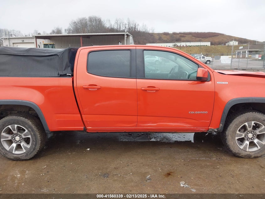Thumbnail 13