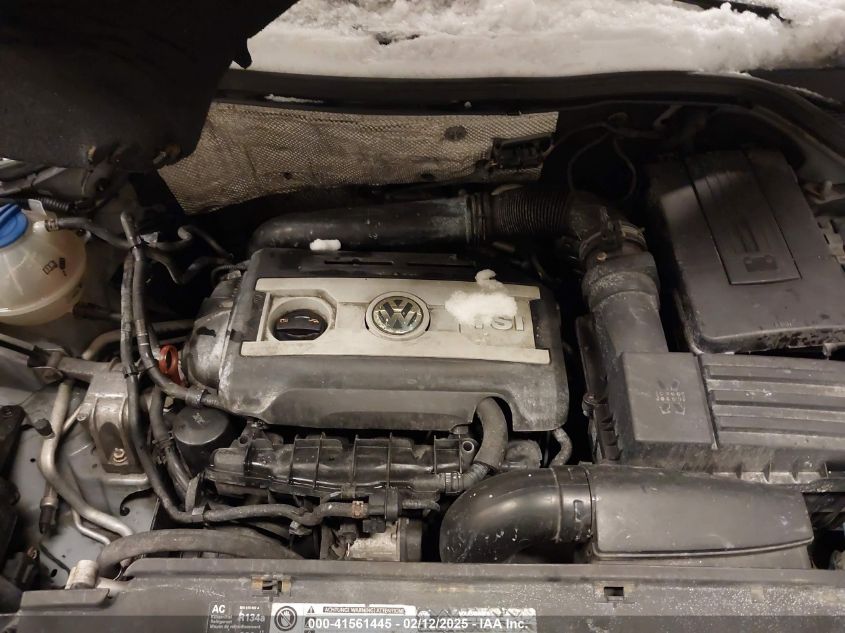 2010 Volkswagen Tiguan Wolfsburg Edition VIN: WVGAV7AX9AW523828 Lot: 41561445