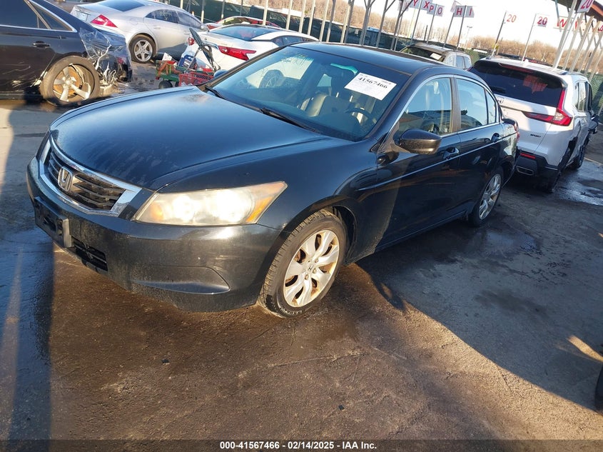 2010 HONDA ACCORD VIN: 1HGCP2F8XAA017077
