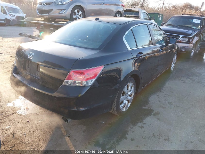 2010 HONDA ACCORD VIN: 1HGCP2F8XAA017077