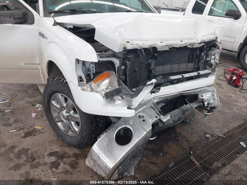 2014 FORD F150 VIN: 1FTFX1ET9EFA62502