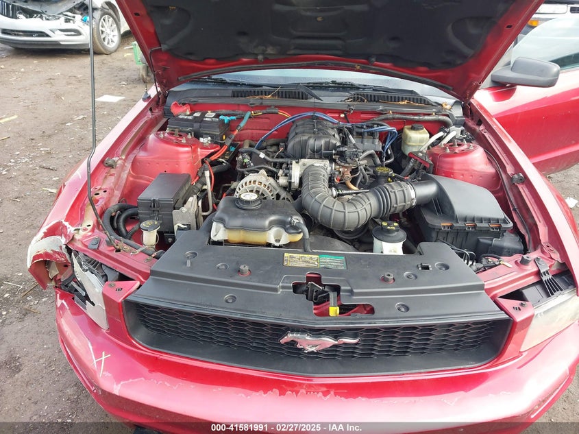 2006 FORD MUSTANG VIN: 1ZVFT80NX65137435