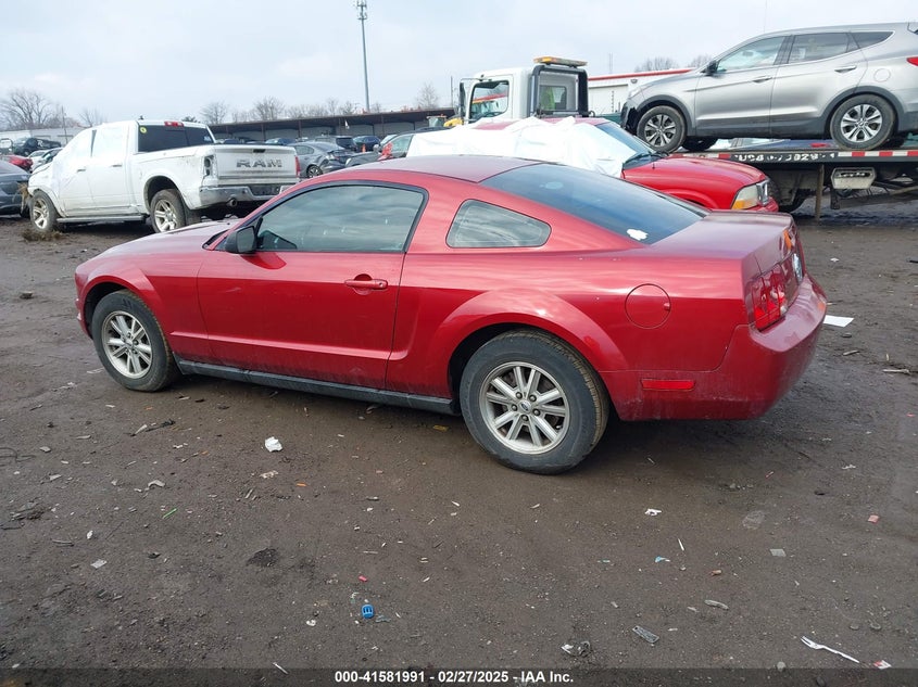 2006 FORD MUSTANG VIN: 1ZVFT80NX65137435