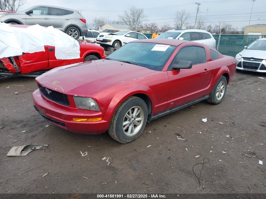 2006 FORD MUSTANG VIN: 1ZVFT80NX65137435