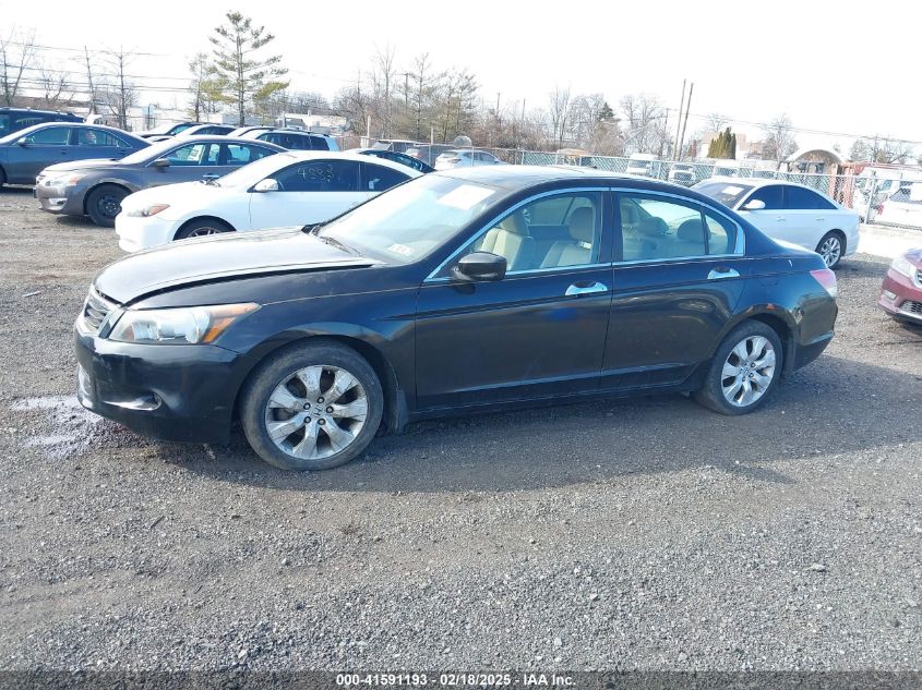 2010 Honda Accord 3.5 Ex-L VIN: 1HGCP3F83AA003995 Lot: 41591193