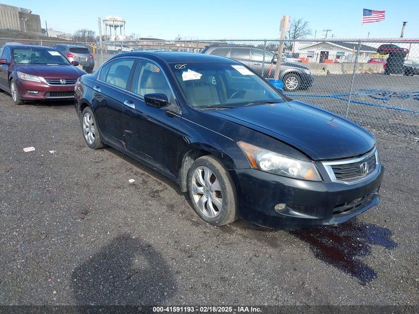 2010 HONDA ACCORD VIN: 1HGCP3F83AA003995