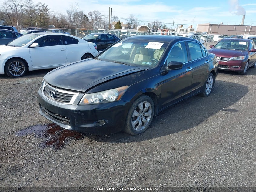 2010 HONDA ACCORD VIN: 1HGCP3F83AA003995