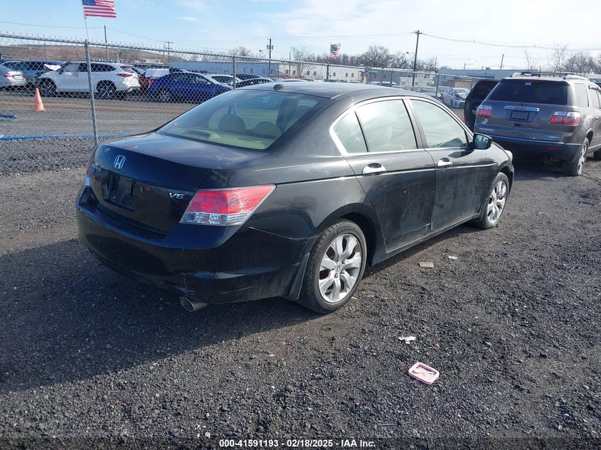 2010 HONDA ACCORD VIN: 1HGCP3F83AA003995