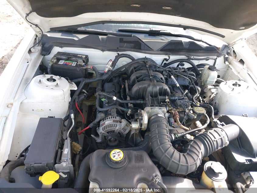 2010 FORD MUSTANG VIN: 1ZVBP8AN2A5128500