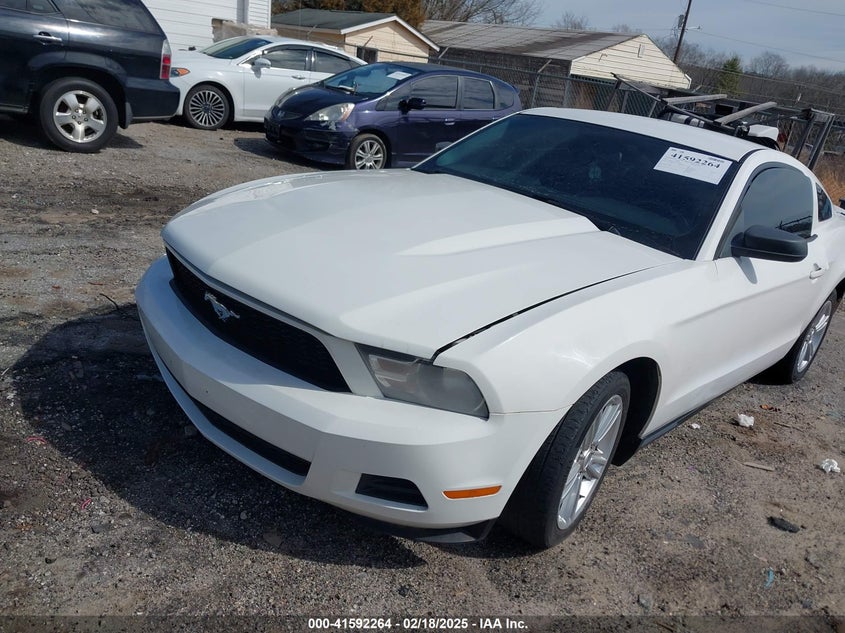 2010 FORD MUSTANG VIN: 1ZVBP8AN2A5128500