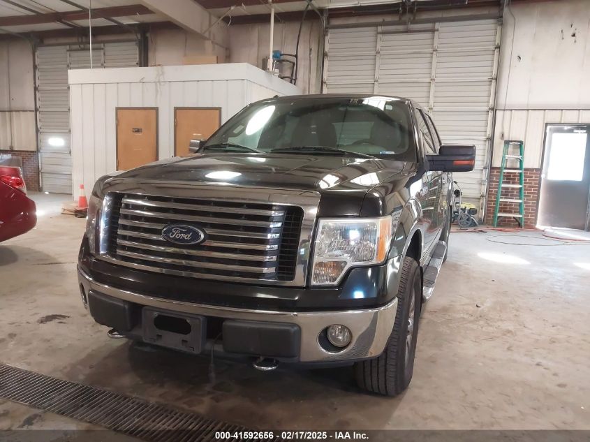 2010 Ford F-150 Fx4/Harley-Davidson/King Ranch/Lariat/Platinum/Xl/Xlt VIN: 1FTFW1EV9AFB39853 Lot: 41592656
