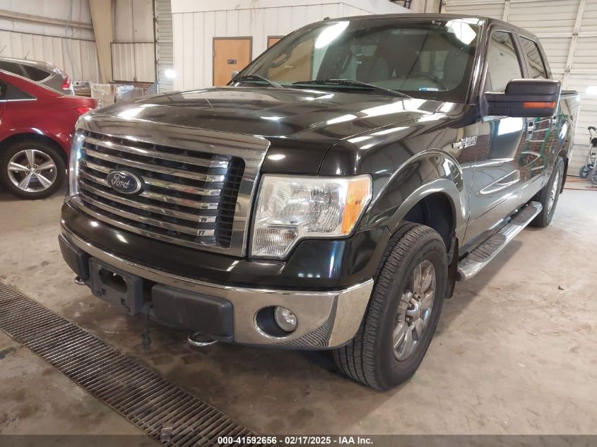 2010 Ford F-150 Fx4/Harley-Davidson/King Ranch/Lariat/Platinum/Xl/Xlt VIN: 1FTFW1EV9AFB39853 Lot: 41592656
