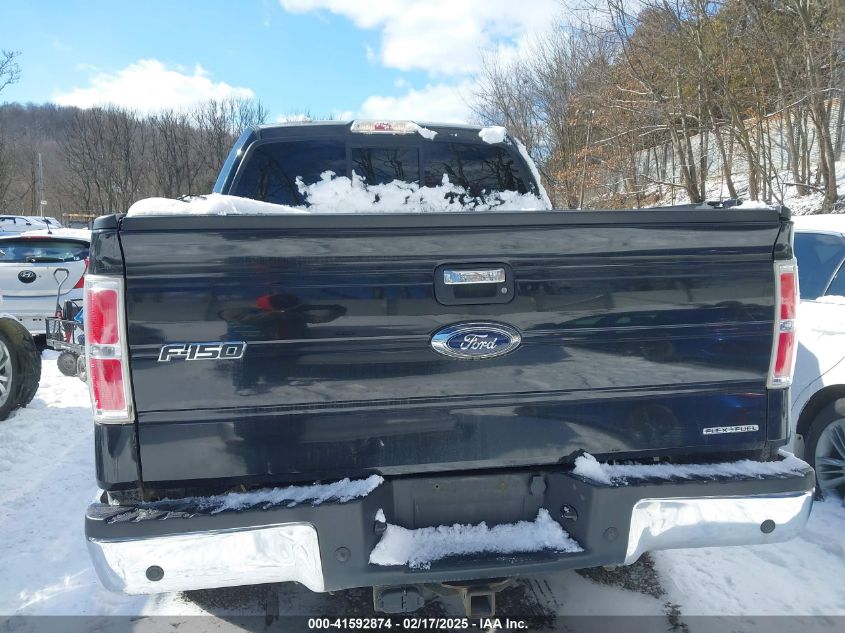 2013 Ford F-150 Xlt VIN: 1FTFW1EF8DKE91407 Lot: 41592874